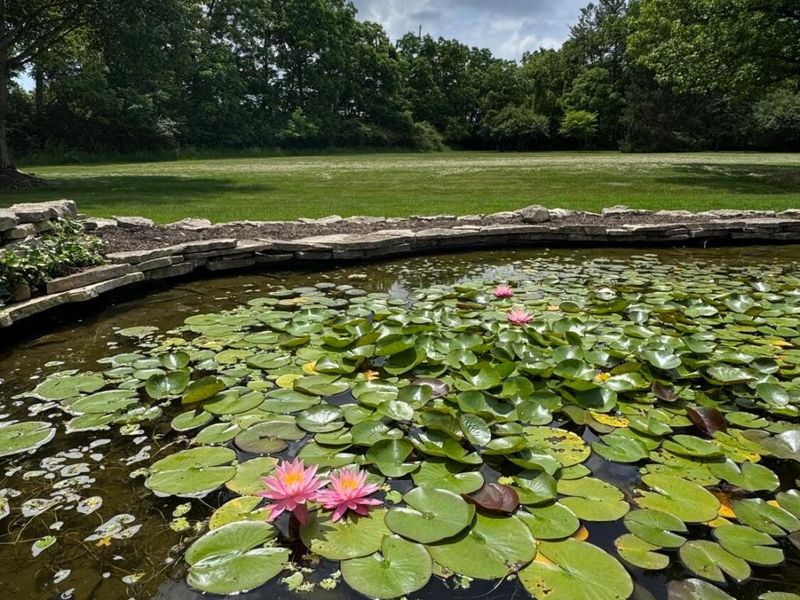 7785 Kate Brown Drive, Dublin, OH 43017 Photo 50