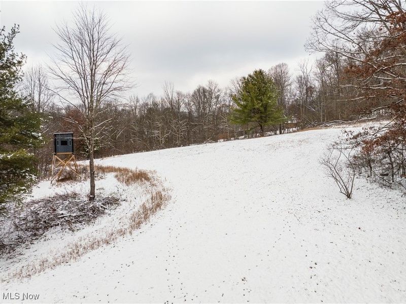 SE Deerhorn Road, Tippecanoe, OH 44699 Photo 10