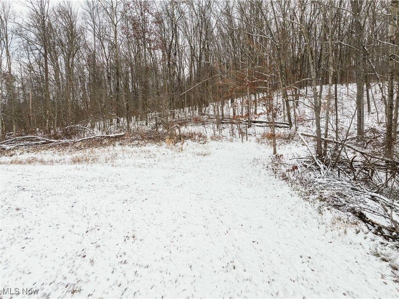 SE Deerhorn Road, Tippecanoe, OH 44699 Photo 12