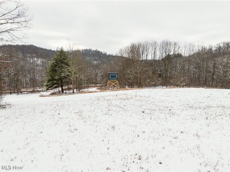 SE Deerhorn Road, Tippecanoe, OH 44699 Photo 15