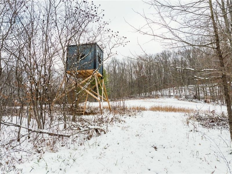 SE Deerhorn Road, Tippecanoe, OH 44699 Photo 19