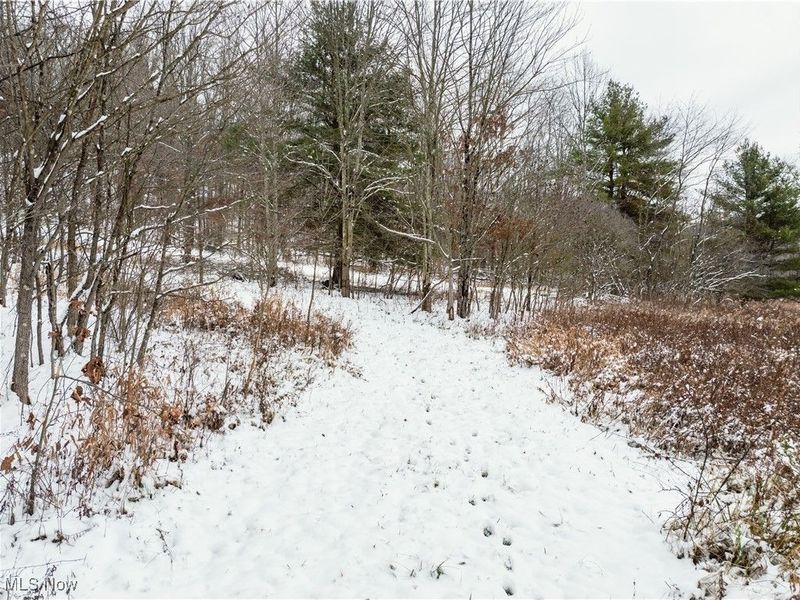 SE Deerhorn Road, Tippecanoe, OH 44699 Photo 20