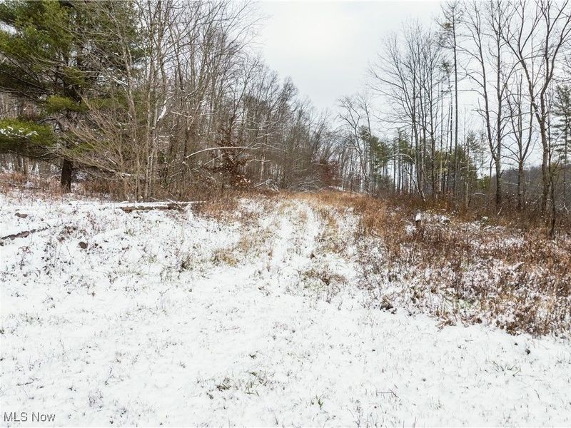 SE Deerhorn Road, Tippecanoe, OH 44699 Photo 26