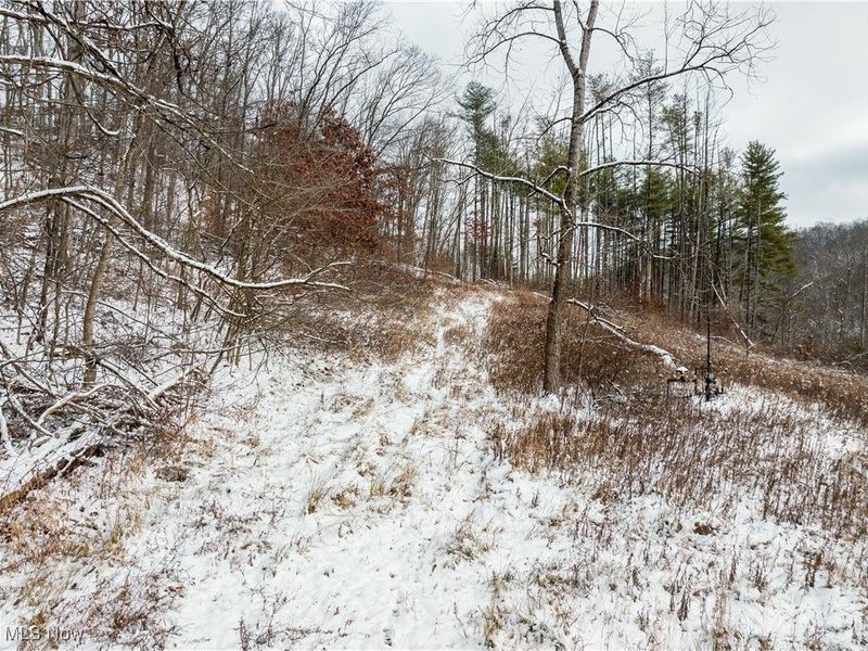 SE Deerhorn Road, Tippecanoe, OH 44699 Photo 27