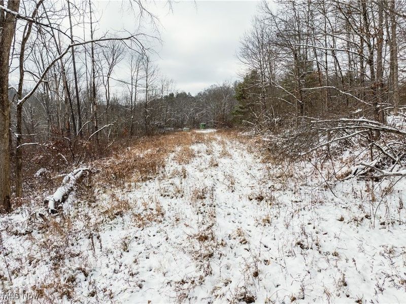 SE Deerhorn Road, Tippecanoe, OH 44699 Photo 28