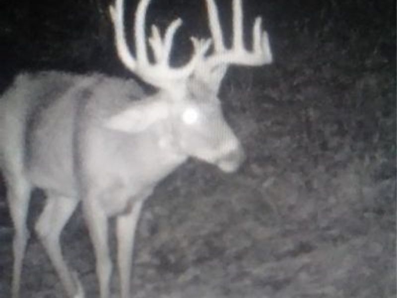 SE Deerhorn Road, Tippecanoe, OH 44699 Photo 32