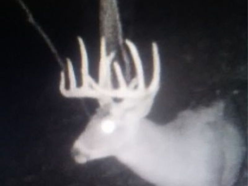 SE Deerhorn Road, Tippecanoe, OH 44699 Photo 33