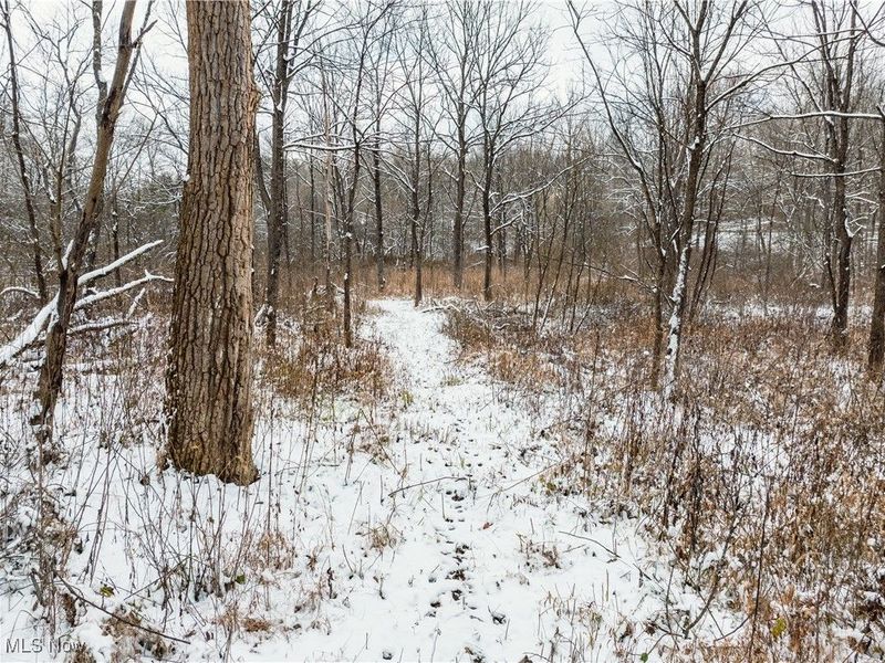 SE Deerhorn Road, Tippecanoe, OH 44699 Photo 4