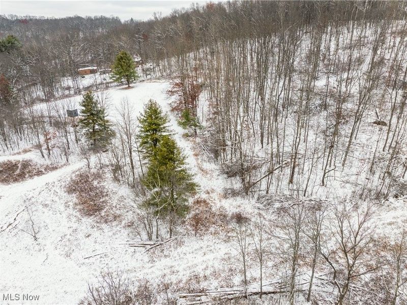 SE Deerhorn Road, Tippecanoe, OH 44699 Photo 9