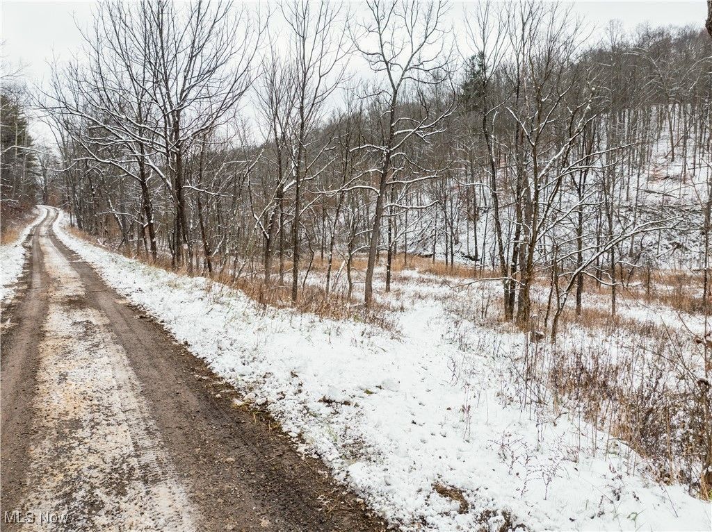 Se Deerhorn Road, Tippecanoe, OH 44699 Main Photo