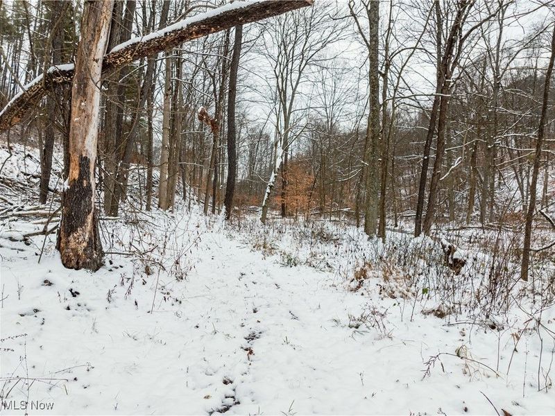 SE Deerhorn Road, Tippecanoe, OH 44699 Photo 15