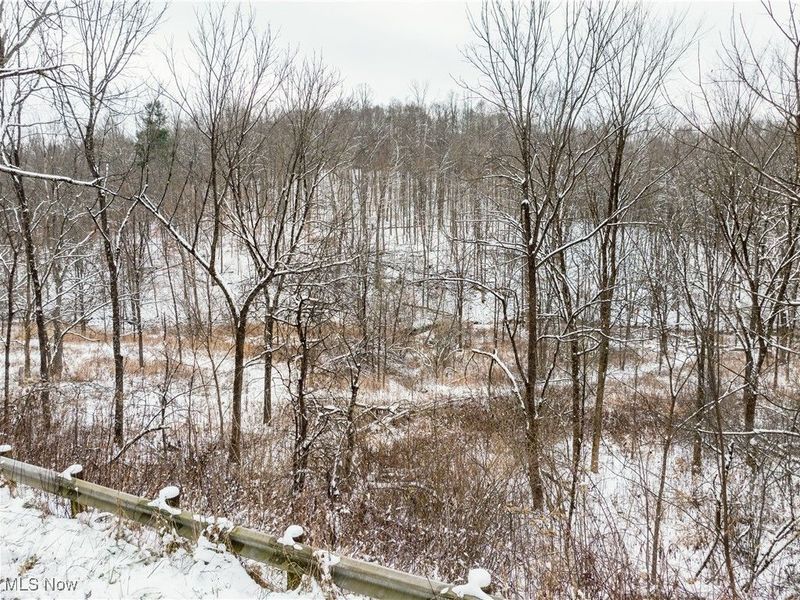 SE Deerhorn Road, Tippecanoe, OH 44699 Photo 20