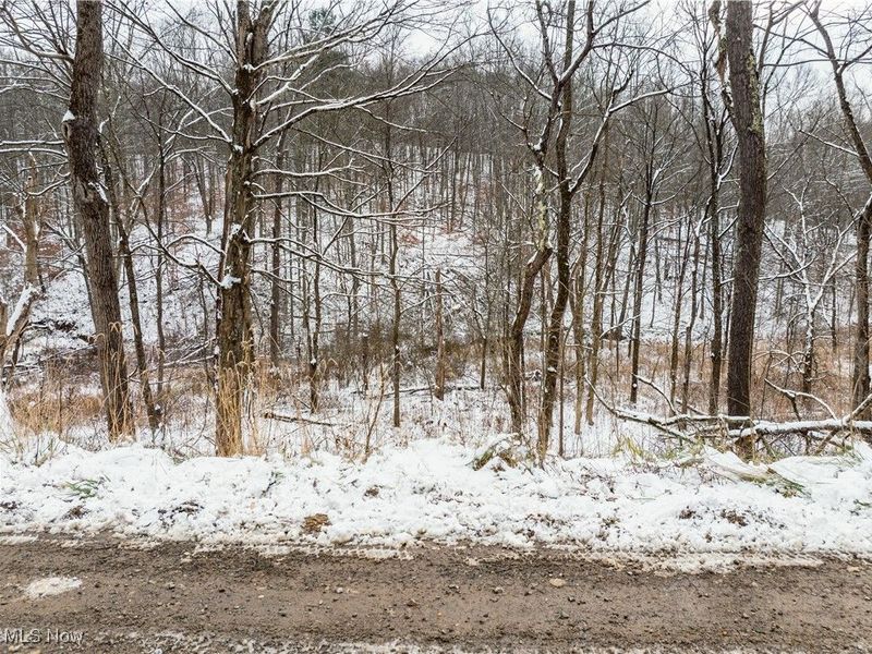 SE Deerhorn Road, Tippecanoe, OH 44699 Photo 21