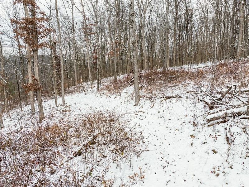 SE Deerhorn Road, Tippecanoe, OH 44699 Photo 6