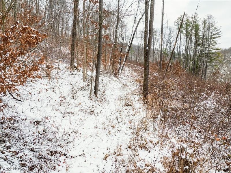 SE Deerhorn Road, Tippecanoe, OH 44699 Photo 7