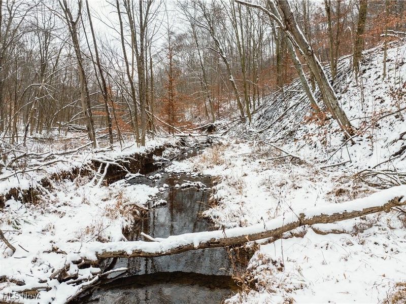 SE Deerhorn Road, Tippecanoe, OH 44699 Photo 8