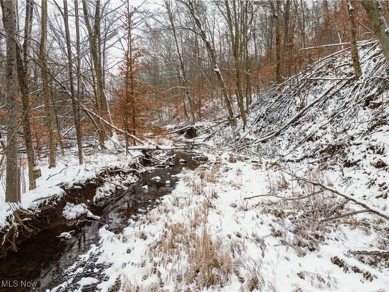 SE Deerhorn Road, Tippecanoe, OH 44699 Photo 9