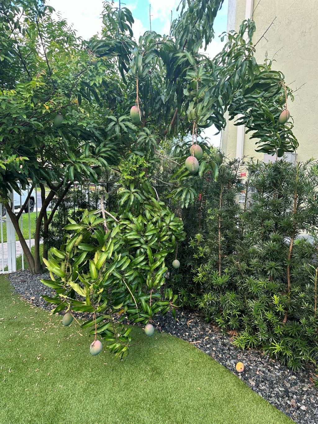 4883 N Classical Boulevard, Delray Beach, FL 33445 Photo