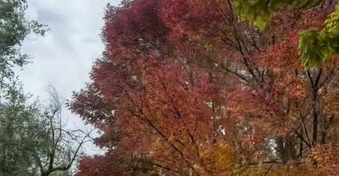 611 Nixon Avenue, Reno, NV 89509 Photo