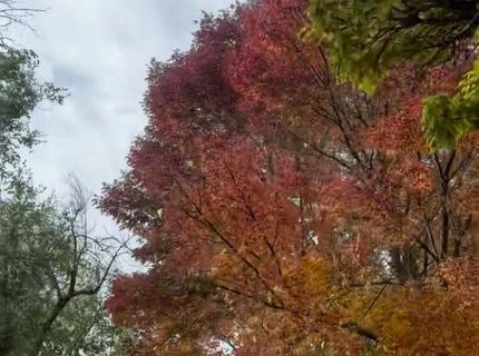 611 Nixon Avenue, Reno, NV 89509 Photo