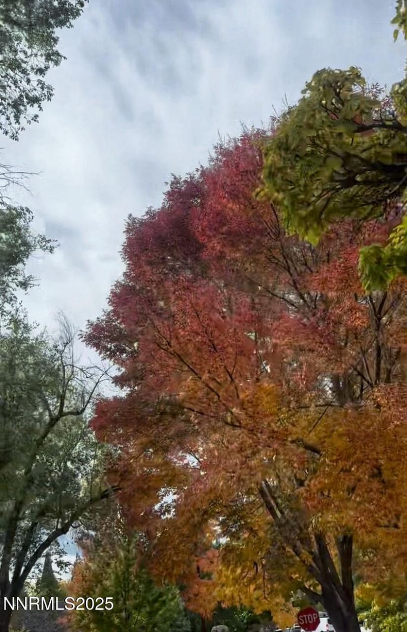 611 Nixon Avenue, Reno, NV 89509 Photo