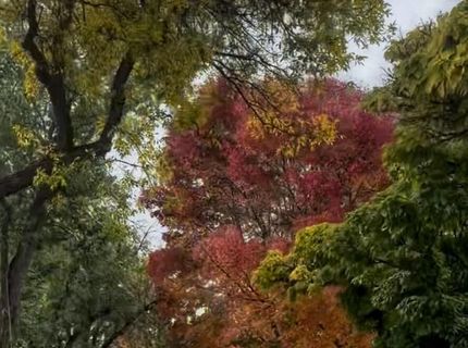 611 Nixon Avenue, Reno, NV 89509 Photo