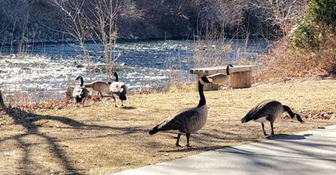 611 Nixon Avenue, Reno, NV 89509 Photo