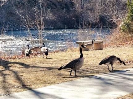 611 Nixon Avenue, Reno, NV 89509 Photo