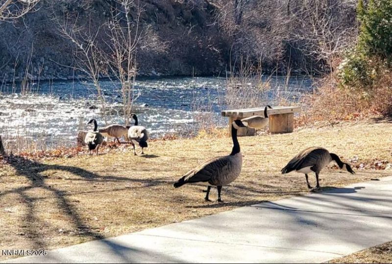 611 Nixon Avenue, Reno, NV 89509 Photo