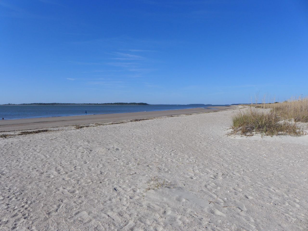 3521 Myrtle Street Photo 61