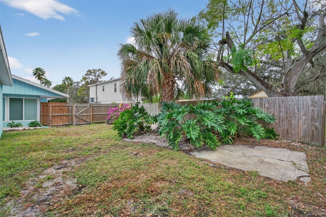 316 Crystal Beach Avenue, Crystal Beach, FL 34681 Photo