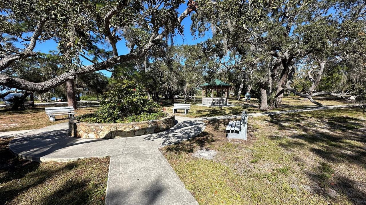 316 Crystal Beach Avenue, Crystal Beach, FL 34681 Photo