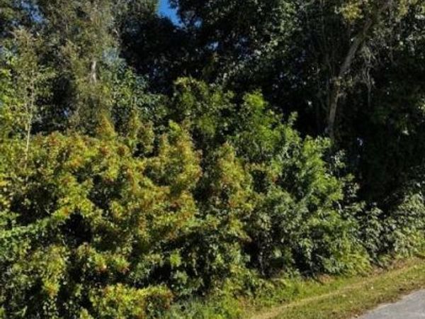 5528 Henley ST, BOKEELIA, FL 33922