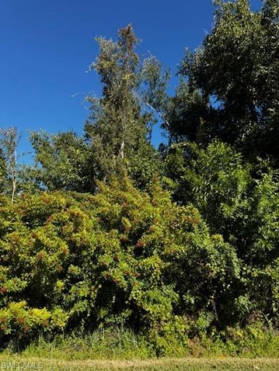 5528 Henley St, Bokeelia, FL 33922 Photo