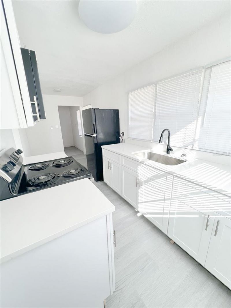 205 S Grove Street, Eustis, FL 32726 Photo