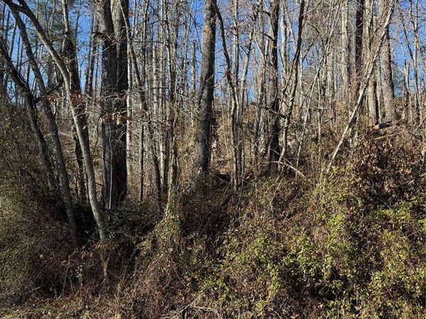 TBD George McKinney Circle, Spruce Pine, NC 28777