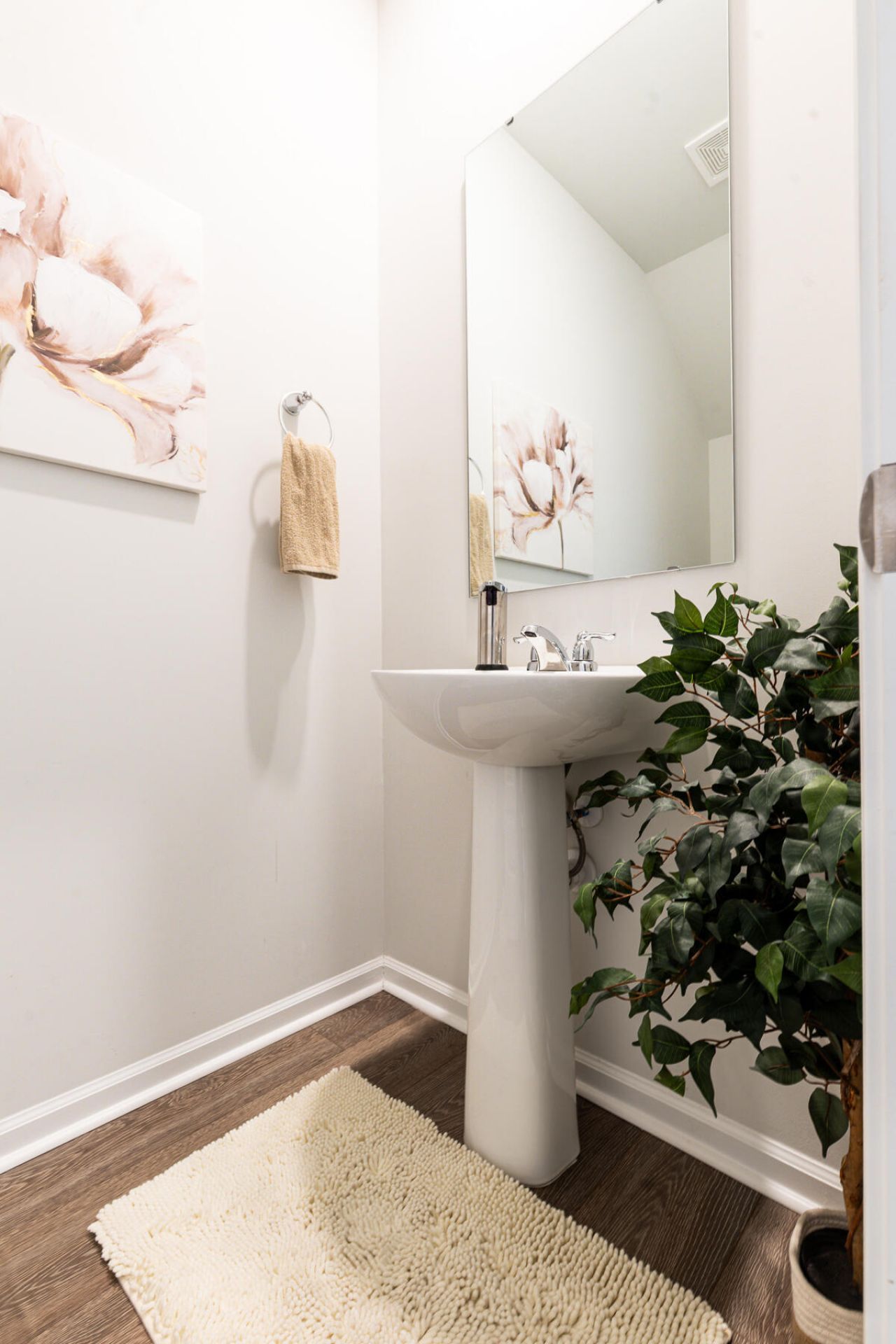 496 Minim Street Photo 5