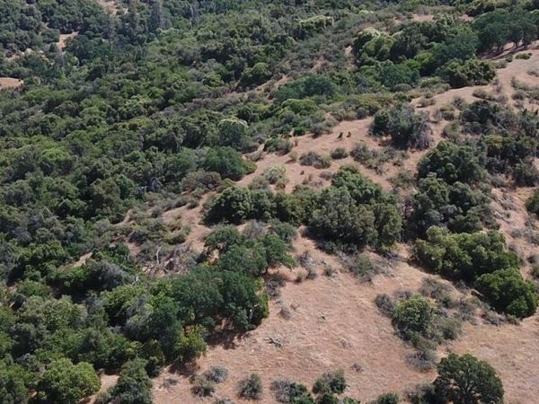 8 Acres, Fresno, CA 93641