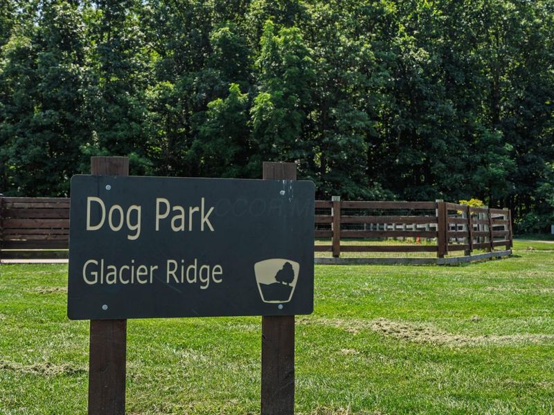 9029 Terrazza South Court, Dublin, OH 43016 Photo 45