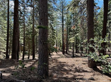 1951 Delaware Street, South Lake Tahoe, CA 96150 Photo