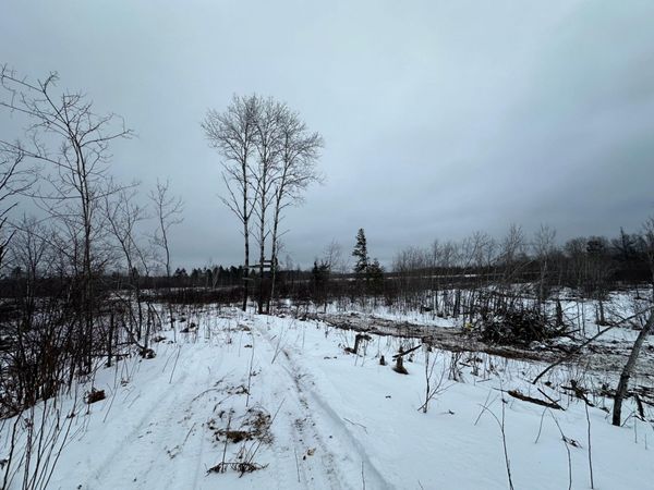 TBD #2 Koecher Road, Kerrick, MN 55756