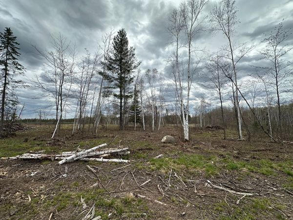 TBD #3 Koecher Road, Kerrick, MN 55756