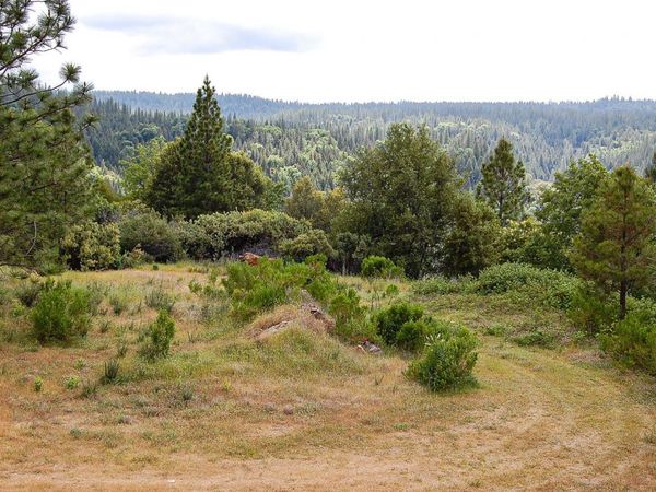 2676 Silver Mountain Rd, Rail Road Flat, CA 95248