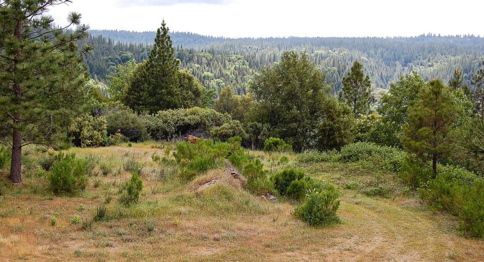 2676 Silver Mountain Rd, Rail Road Flat, CA 95248 Photo