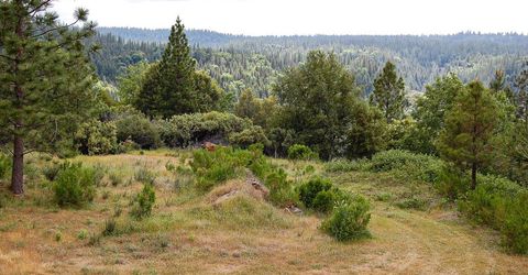 2676 Silver Mountain Rd, Rail Road Flat, CA 95248 Photo