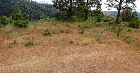 2676 Silver Mountain Rd, Rail Road Flat, CA 95248 Photo