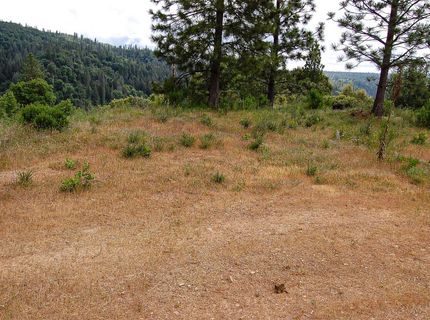 2676 Silver Mountain Rd, Rail Road Flat, CA 95248 Photo