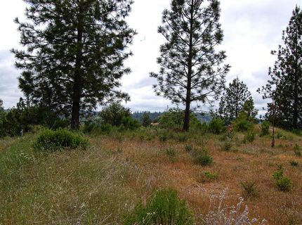 2676 Silver Mountain Rd, Rail Road Flat, CA 95248 Photo