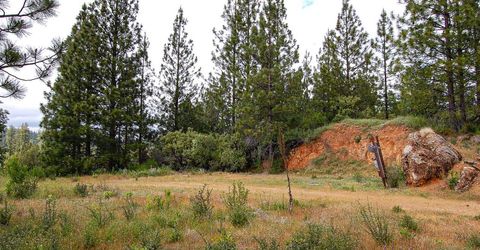 2676 Silver Mountain Rd, Rail Road Flat, CA 95248 Photo