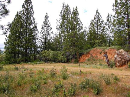 2676 Silver Mountain Rd, Rail Road Flat, CA 95248 Photo